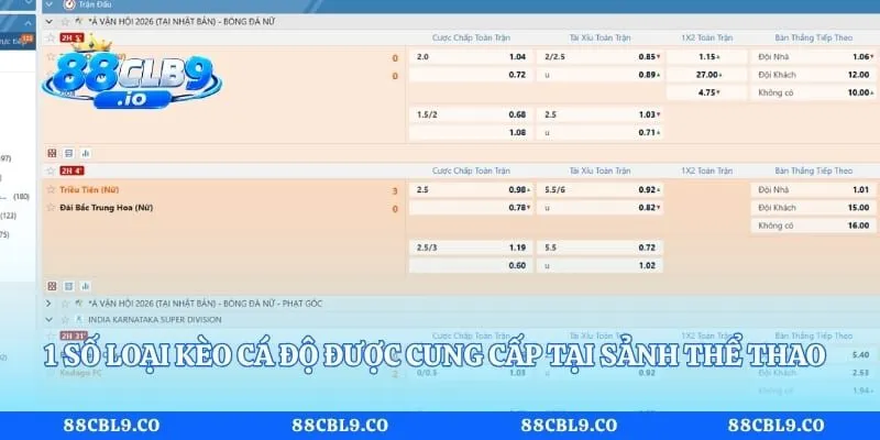 1 số loại kèo cá độ được cung cấp tại sảnh thể thao 88CLB
