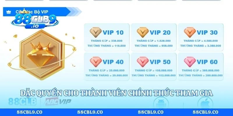 Đặc quyền cho thành viên chính thức tham gia trang cược