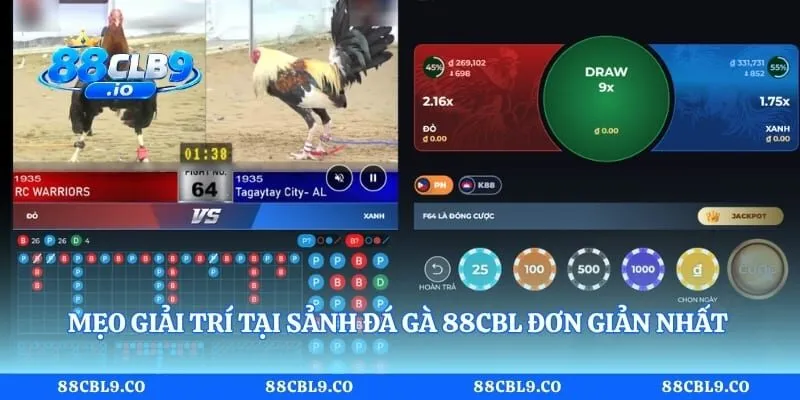Mẹo giải trí tại sảnh đá gà 88CBL đơn giản nhất