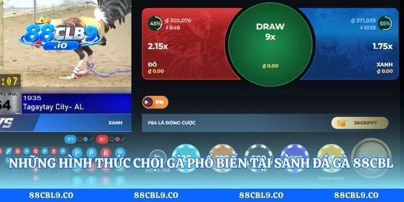 Những hình thức chọi gà phổ biến tại sảnh đá gà 88CLB