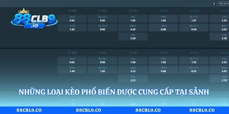 Những loại kèo phổ biến được cung cấp tại sảnh IM Sports