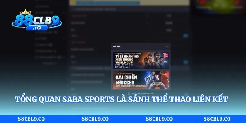 Tổng quan SABA Sports là sảnh thể thao liên kết chất lượng