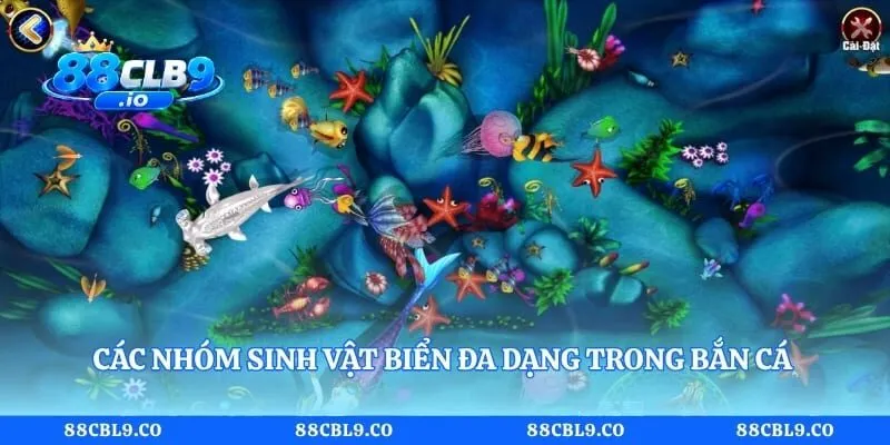 Các nhóm sinh vật biển đa dạng trong bắn cá