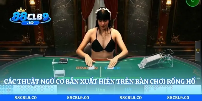 Các thuật ngữ cơ bản xuất hiện trên bàn chơi rồng hổ 88CLB