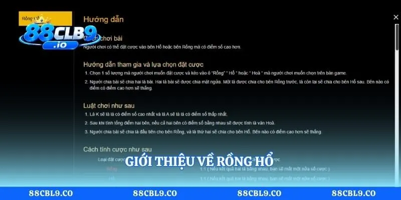 Giới thiệu về rồng hổ